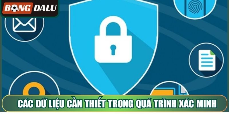 Các dữ liệu cần thiết trong quá trình xác minh