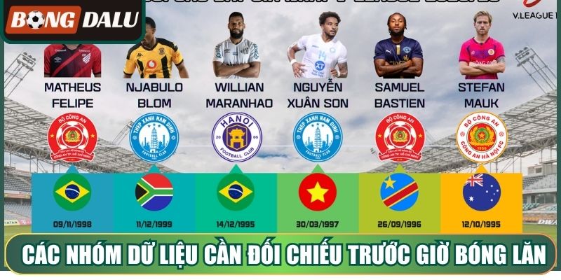 Các nhóm dữ liệu cần đối chiếu trước giờ bóng lăn hiệu quả