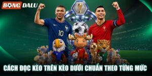Cách Đọc Kèo Trên Kèo Dưới Chuẩn Theo Từng Mức Chấp