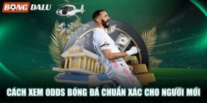Cách Xem Odds Bóng Đá Chuẩn Xác Dành Cho Người Mới