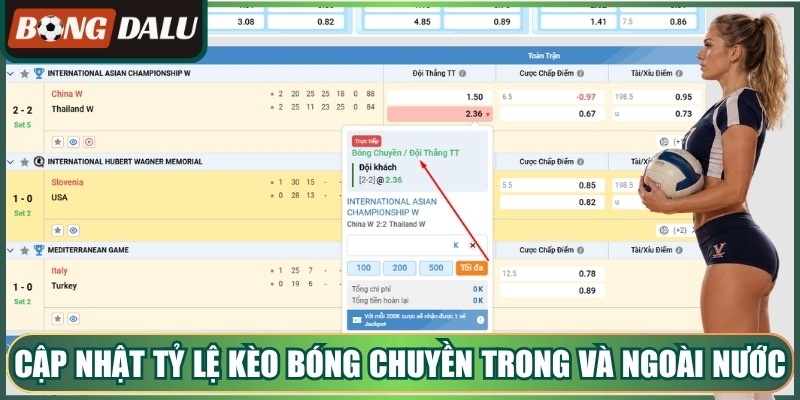 Cập nhật tỷ lệ kèo bóng chuyền trong và ngoài nước