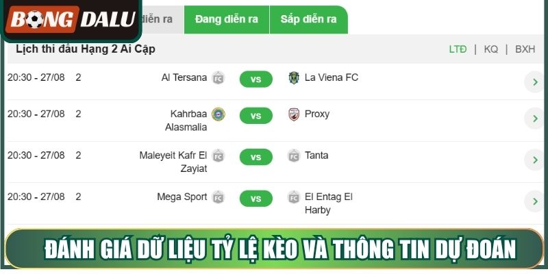 Đánh giá dữ liệu tỷ lệ kèo và thông tin dự đoán