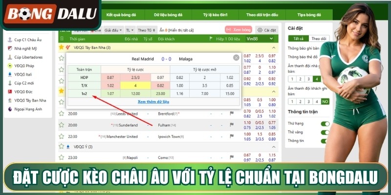 Đặt cược kèo châu âu với tỷ lệ chuẩn tại Bongdalu
