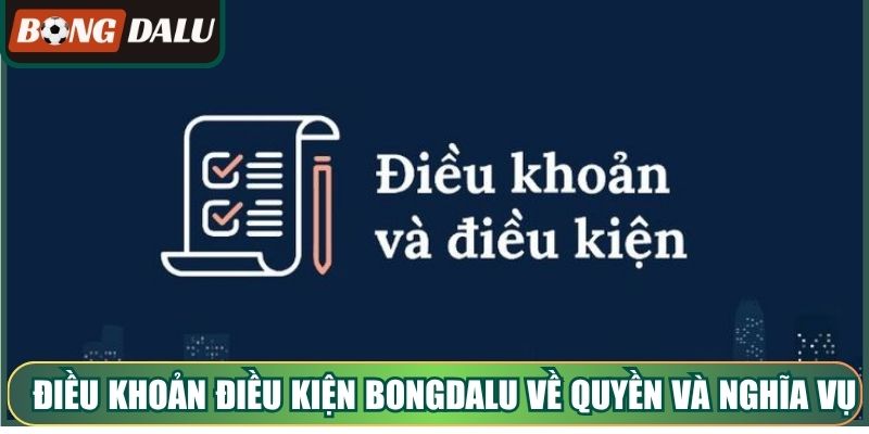 Điều khoản điều kiện Bongdalu về quyền và nghĩa vụ