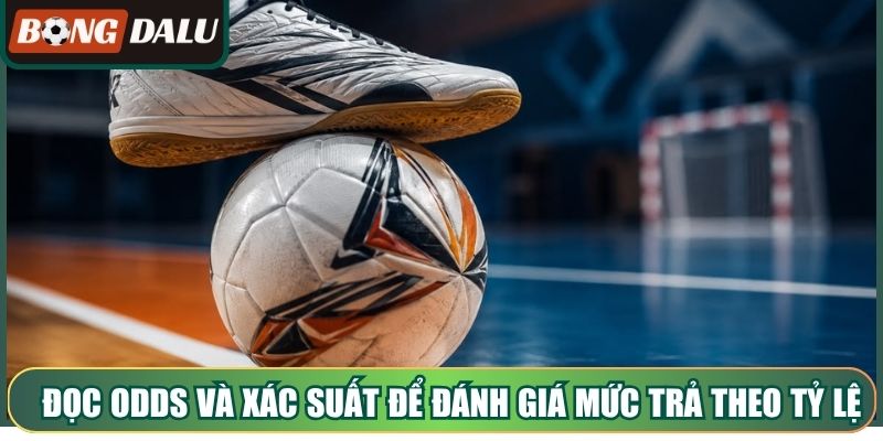 Đọc odds và xác suất để đánh giá mức trả theo tỷ lệ