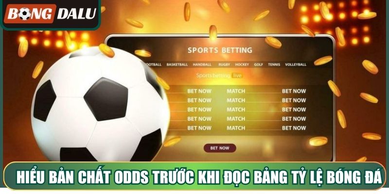 Hiểu bản chất odds trước khi đọc bảng tỷ lệ bóng đá