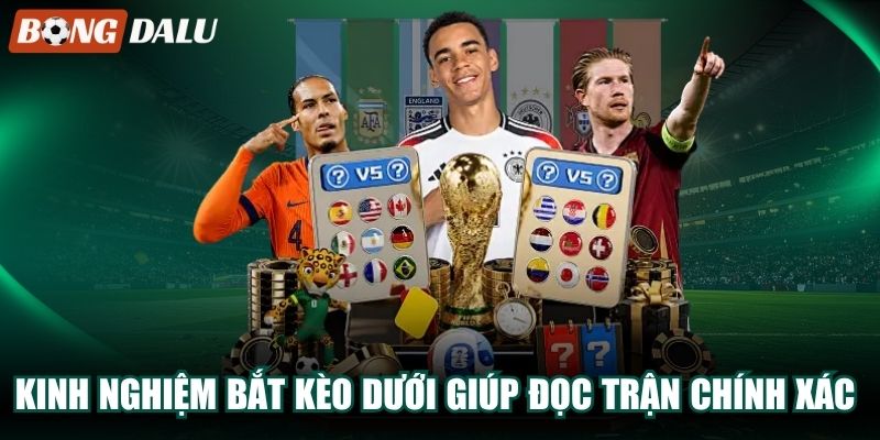 Kinh Nghiệm Bắt Kèo Dưới Giúp Đọc Trận Chính Xác Hơn