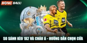 So Sánh Kèo 1×2 Và Châu Á – Hướng Dẫn Chọn Cửa Hiệu Quả