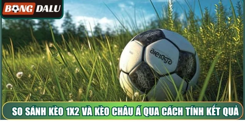 So sánh kèo 1X2 và kèo châu Á qua cách tính kết quả