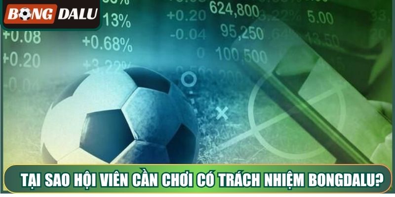 Tại sao hội viên cần chơi có trách nhiệm Bongdalu? 