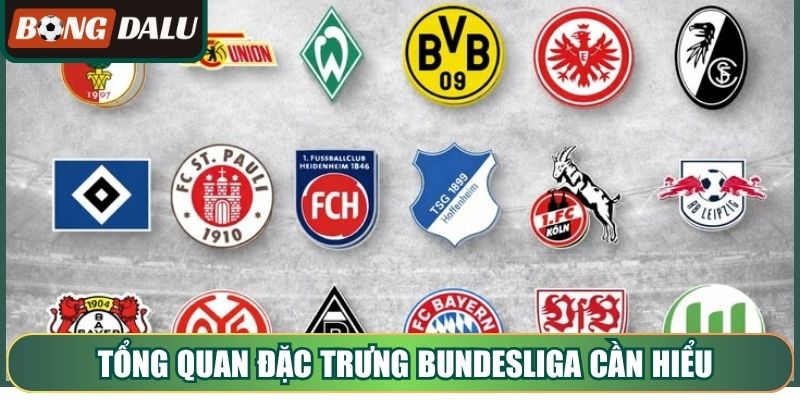 Tổng quan đặc trưng Bundesliga cần hiểu trước khi phân tích