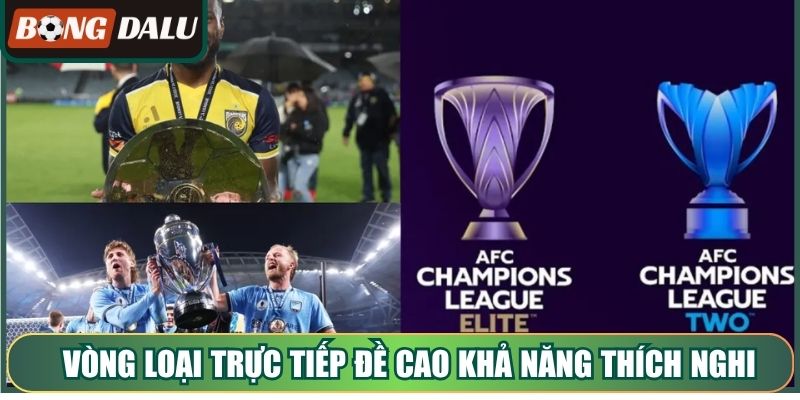 Vòng loại trực tiếp đề cao khả năng thích nghi